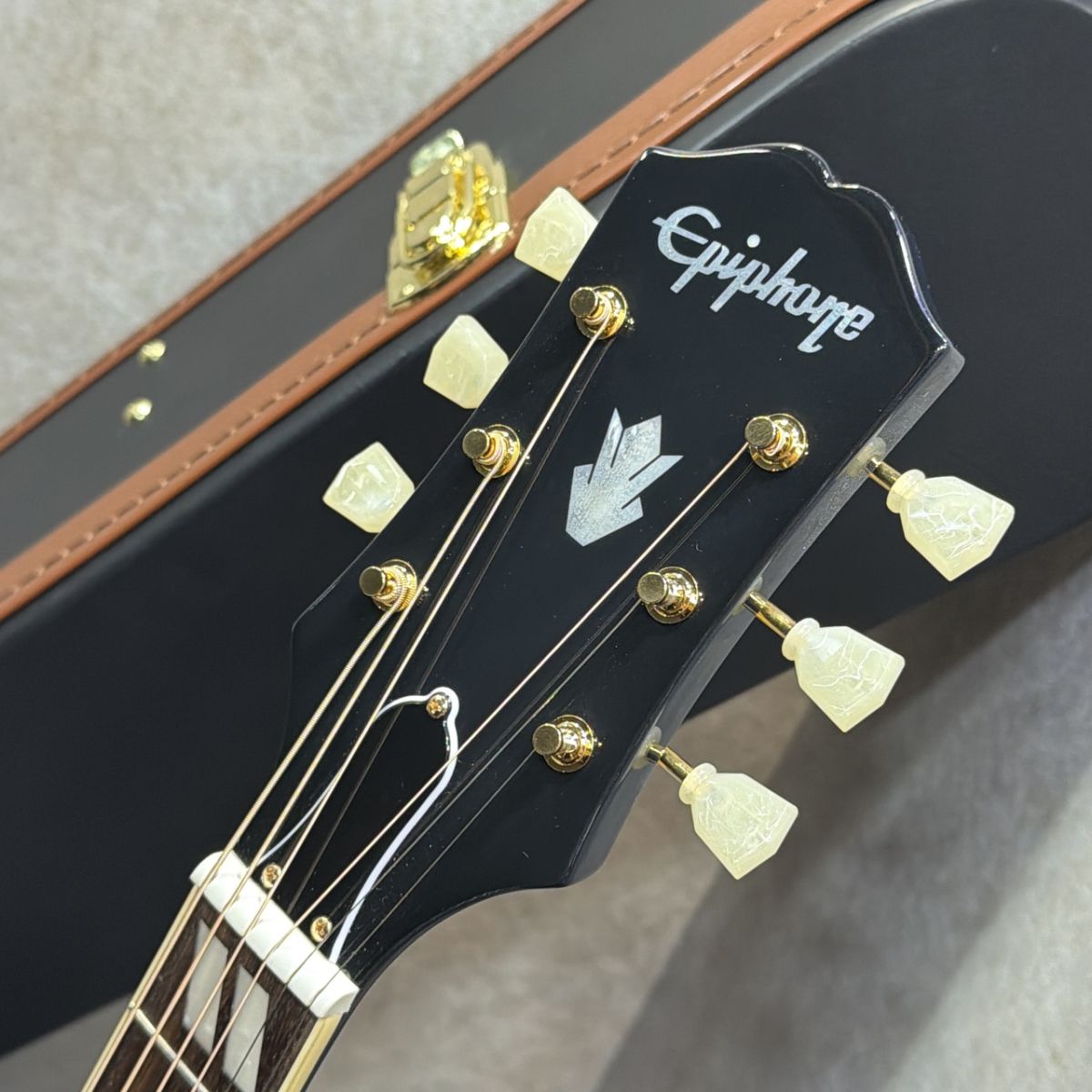 DeliciousTaylormade the BLUEBIRDミランダ Miranda Lambert Bluebird Studio #26031500255 | 【クロサワ楽器店