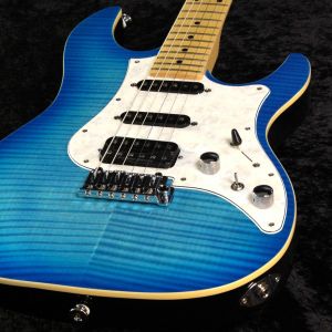 FUJIGEN(FGN)のエレキギター検索結果一覧 | 【クロサワ楽器店