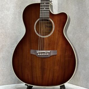Takamine、ドレッドノート タイプのアコースティックギター検索結果