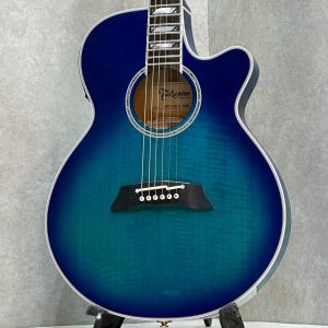 Takamine、20万円～30万円未満のアコースティックギター検索結果一覧