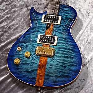 エレクトリックギター、左用 / Leftyのエレキギター検索結果一覧