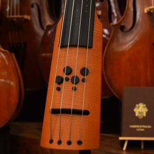 NS Designの弦楽器検索結果一覧 | 【クロサワ楽器店オンラインショップ