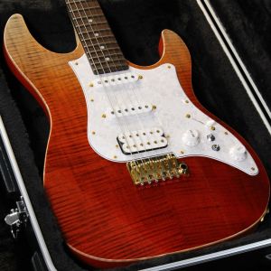 FUJIGEN(FGN)、SSHのエレキギター検索結果一覧 | 【クロサワ楽器店