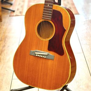 Gibson、チップボードケースのアコースティックギター検索結果一覧