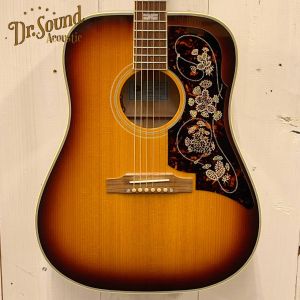 Epiphone、ハードケースのアコースティックギター検索結果一覧