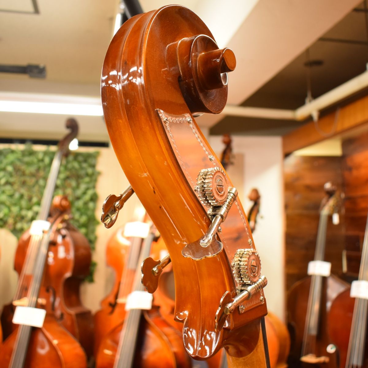 All Solid | 【クロサワ楽器店オンラインショップ】いい楽器とのいい