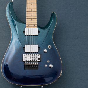 G-Life Guitars、20万円～30万円未満のエレキギター検索結果一覧