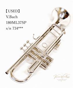 180ML37SP s/n 734***【中古】 | 【クロサワ楽器店オンラインショップ