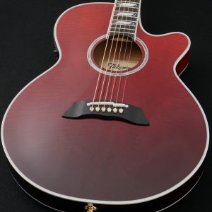 アコースティックギター、Takamineのアコースティックギター検索結果
