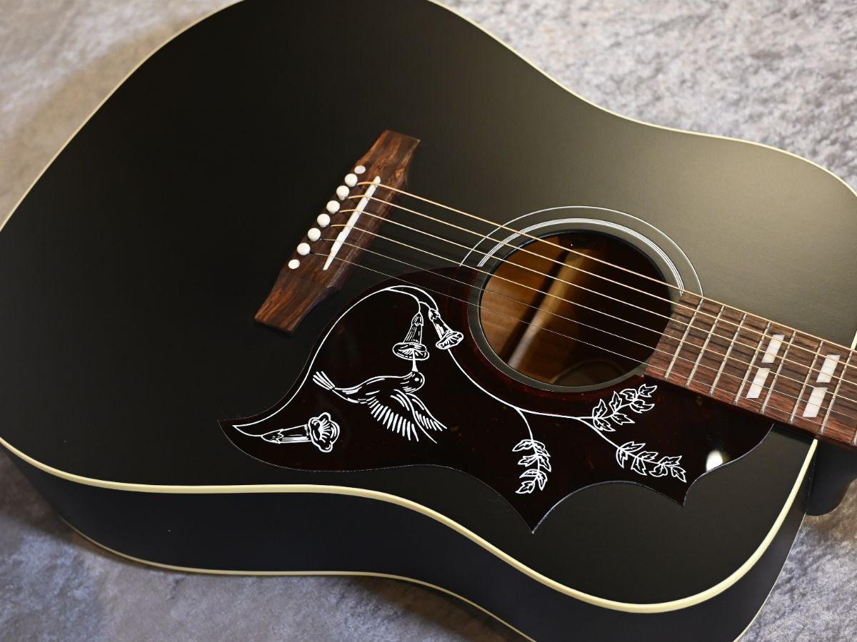 Hummingbird Special ~Satin Ebony~ #20546049 | 【クロサワ楽器店