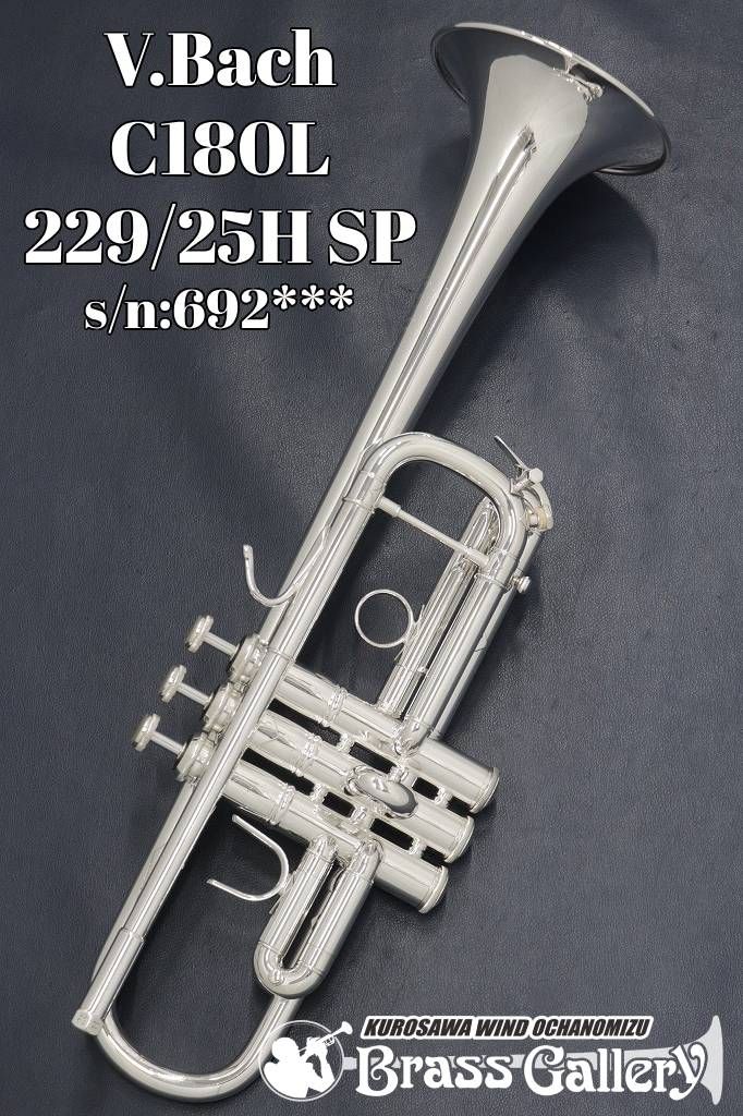 C180L 229/25H SP【s/n:692***】 | 【クロサワ楽器店オンライン