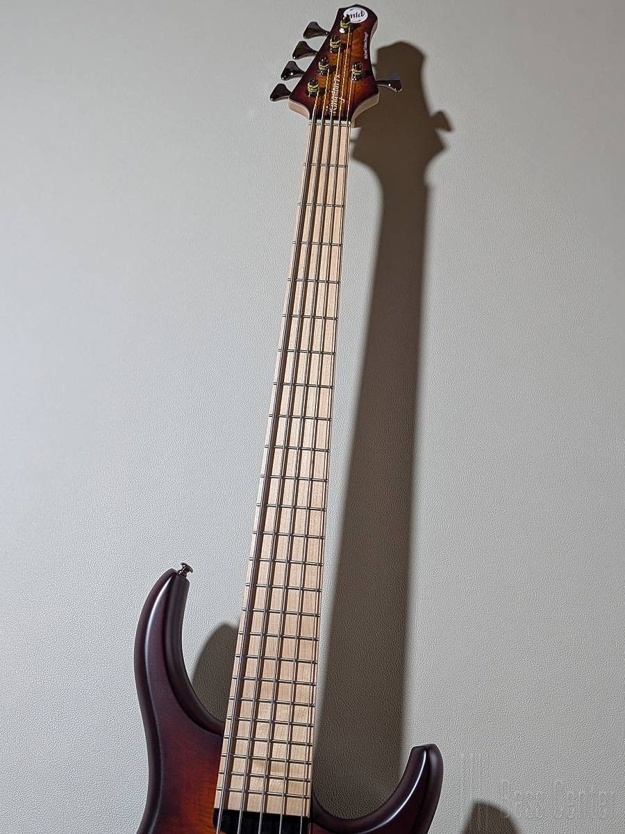 Kingston ZX5 