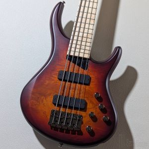 ゴンザレス Arturiaの商品検索結果一覧 | 【クロサワ楽器店オンラインショップ