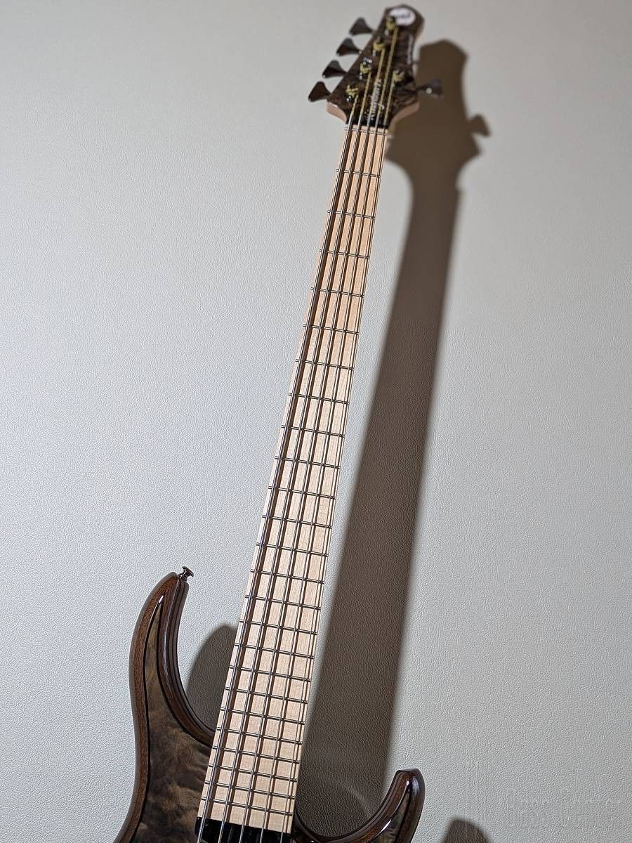 Kingston ZX5 