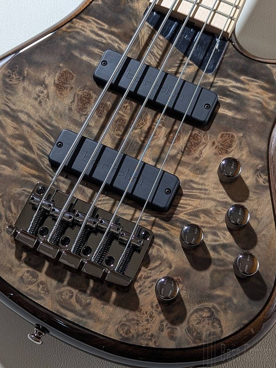 Kingston ZX5 