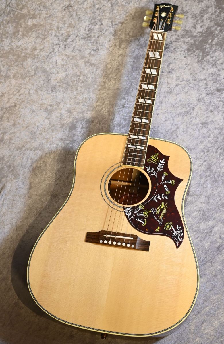 ヴィンテージ エレキギター ナチュラルウッド レア Hummingbird Original -Antique Natural- #20776104 | 【クロサワ楽器