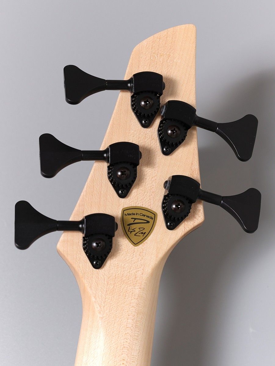 Z2 5st / Quilt Maple Top | 【クロサワ楽器店オンラインショップ
