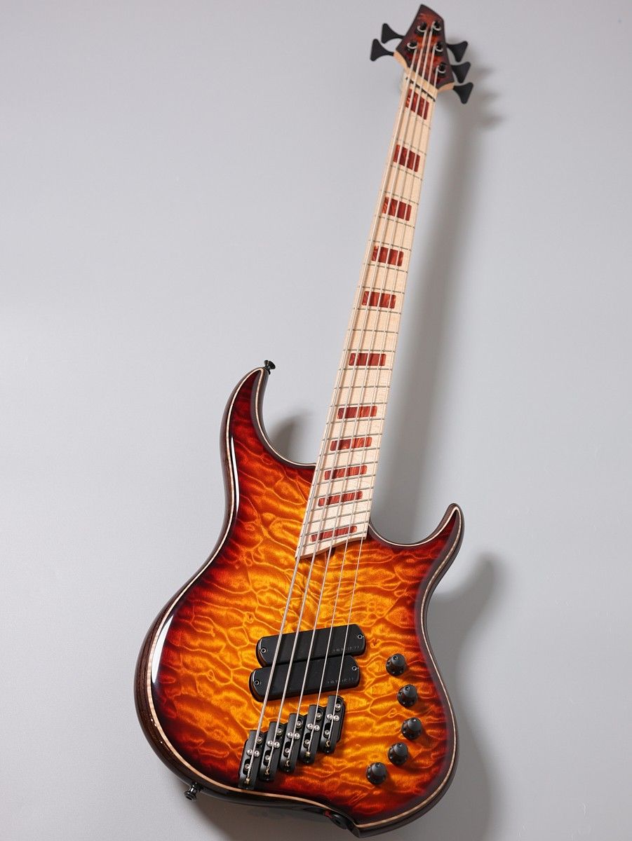 Z2 5st / Quilt Maple Top | 【クロサワ楽器店オンラインショップ