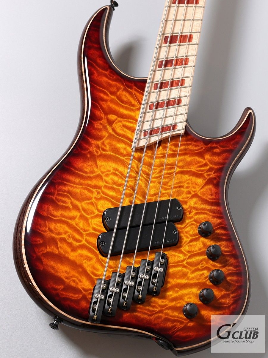 Z2 5st / Quilt Maple Top | 【クロサワ楽器店オンラインショップ
