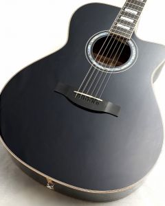 Morris、新品のアコースティックギター検索結果一覧 | 【クロサワ楽器