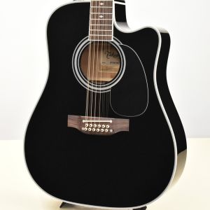 Takamine、ドレッドノート タイプのアコースティックギター検索結果