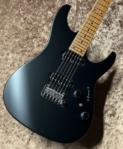 Ibanez、ハードケースのエレキギター検索結果一覧 | 【クロサワ楽器店