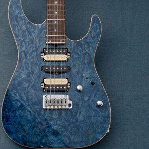T's Guitarsのエレキギター検索結果一覧 | 【クロサワ楽器店オンライン