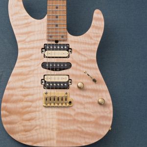 T's Guitars、24フレットのエレキギター検索結果一覧 | 【クロサワ楽器