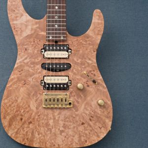 T's Guitars、24フレットのエレキギター検索結果一覧 | 【クロサワ楽器