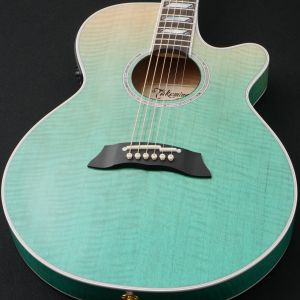 アコースティックギター、Takamineのアコースティックギター検索結果
