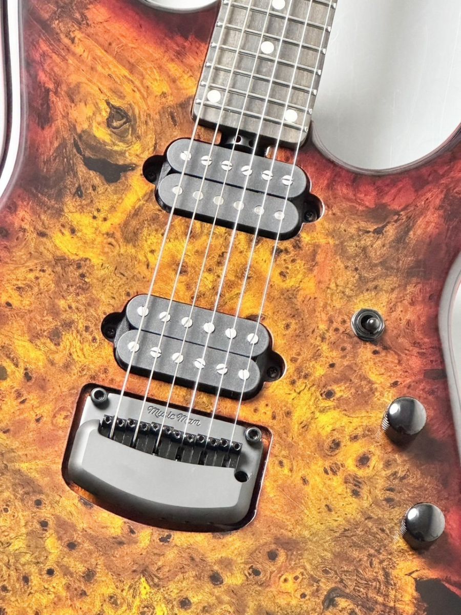 Jason Richardson 6-String Cutlass HT Death Mountain | 【クロサワ