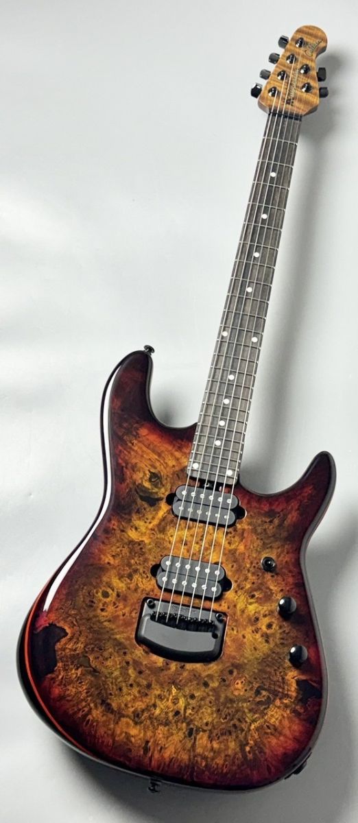 Jason Richardson 6-String Cutlass HT Death Mountain | 【クロサワ