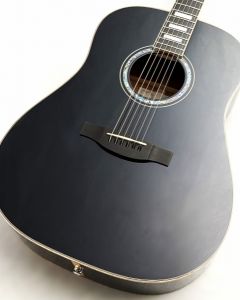 新品、シダー、アクティブ、ハードケースのアコースティックギター検索