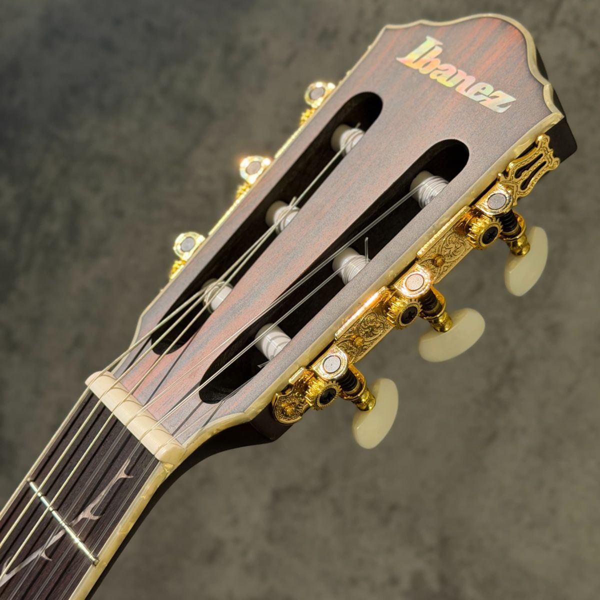 Polyphia】TOD10N -Transparent Black Flat- #260400637【1.97kg