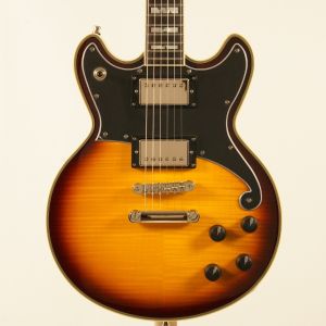 Gabon Deluxe サンバースト エレキギター サンバースト 系のエレキギター検索結果一覧 | 【クロサワ楽器店