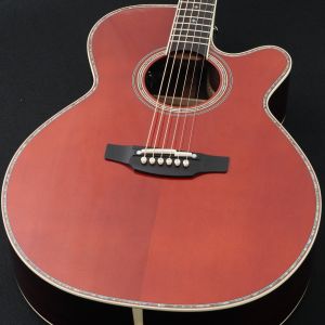 Takamine、20万円～30万円未満のアコースティックギター検索結果一覧