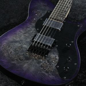 FUJIGEN(FGN)、エボニー指板のエレキギター検索結果一覧 | 【クロサワ