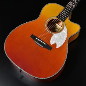 20万円～30万円未満、限定生産品のアコースティックギター検索結果一覧