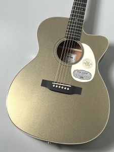 エレクトリックアコースティックギターのアコースティックギター検索