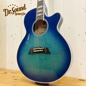 Takamine、20万円～30万円未満のアコースティックギター検索結果一覧