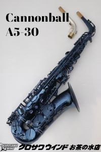Cannonball、ハードケースの管楽器検索結果一覧 | 【クロサワ楽器店