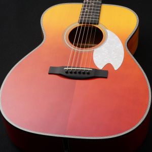 Headway、000 タイプのアコースティックギター検索結果一覧