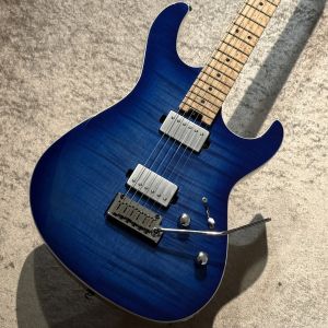 ストラト タイプ、青 系のエレキギター検索結果一覧 | 【クロサワ楽器