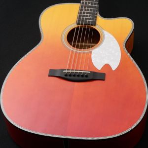 20万円～30万円未満、限定生産品のアコースティックギター検索結果一覧