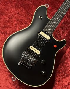 エレクトリックギター、EVHのエレキギター検索結果一覧 | 【クロサワ