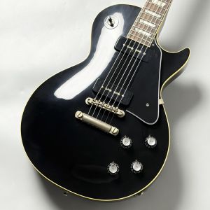 フルアコ、FUJIGEN(FGN)のエレキギター検索結果一覧 | 【クロサワ楽器