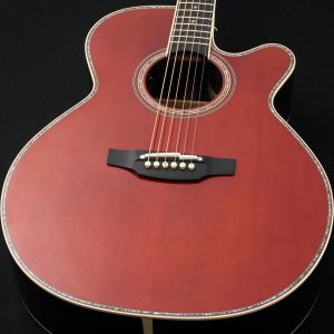 アコースティックギター、20万円～30万円未満、スプルース、ディ