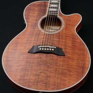 アコースティックギター、Takamineのアコースティックギター検索結果