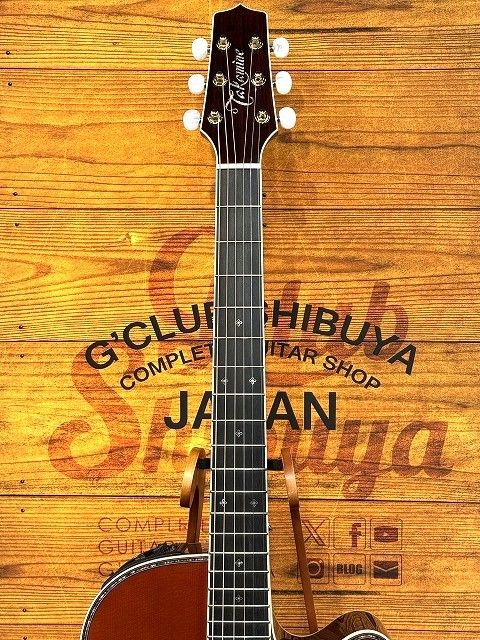 Takamine 匠 TAKUMI PTU541C -Antique Nutmeg- | 【クロサワ楽器店