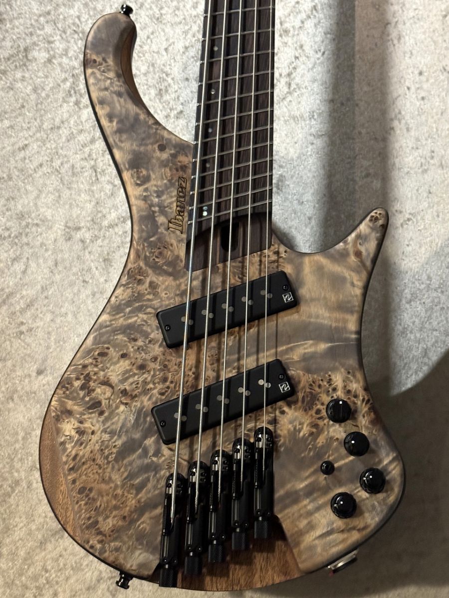 EHB1505MS -Black Ice Flat- | 【クロサワ楽器店オンラインショップ